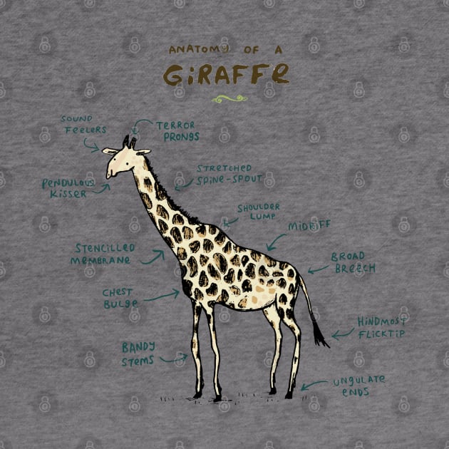 Anatomy of a Giraffe by Sophie Corrigan